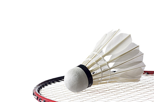 并非单场输 并非单场输