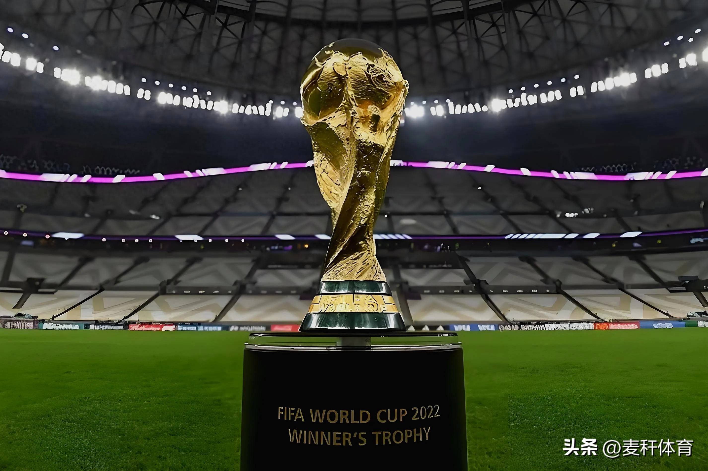 容与战术协 容与战术协